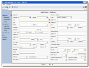 Reynolds & Reynolds New Credit Application Screen Shot